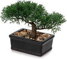 Kunstbonsai Zeder Kunstpflanze Schwarz Keramik-Übertopf