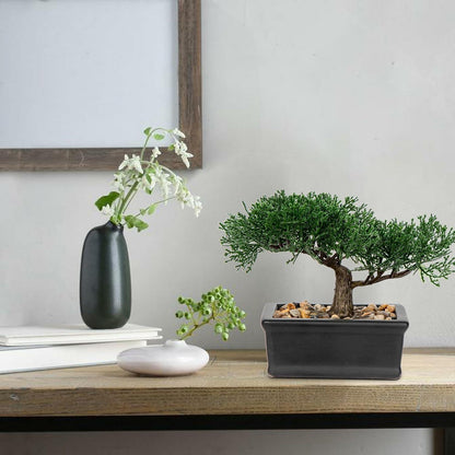 Kunstbonsai Zeder Kunstpflanze Schwarz Keramik-Übertopf