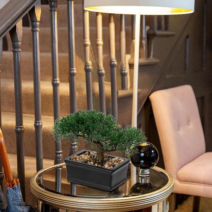 Kunstbonsai Zeder Kunstpflanze Keramik-Übertopf Schwarz 18 x 16 cm