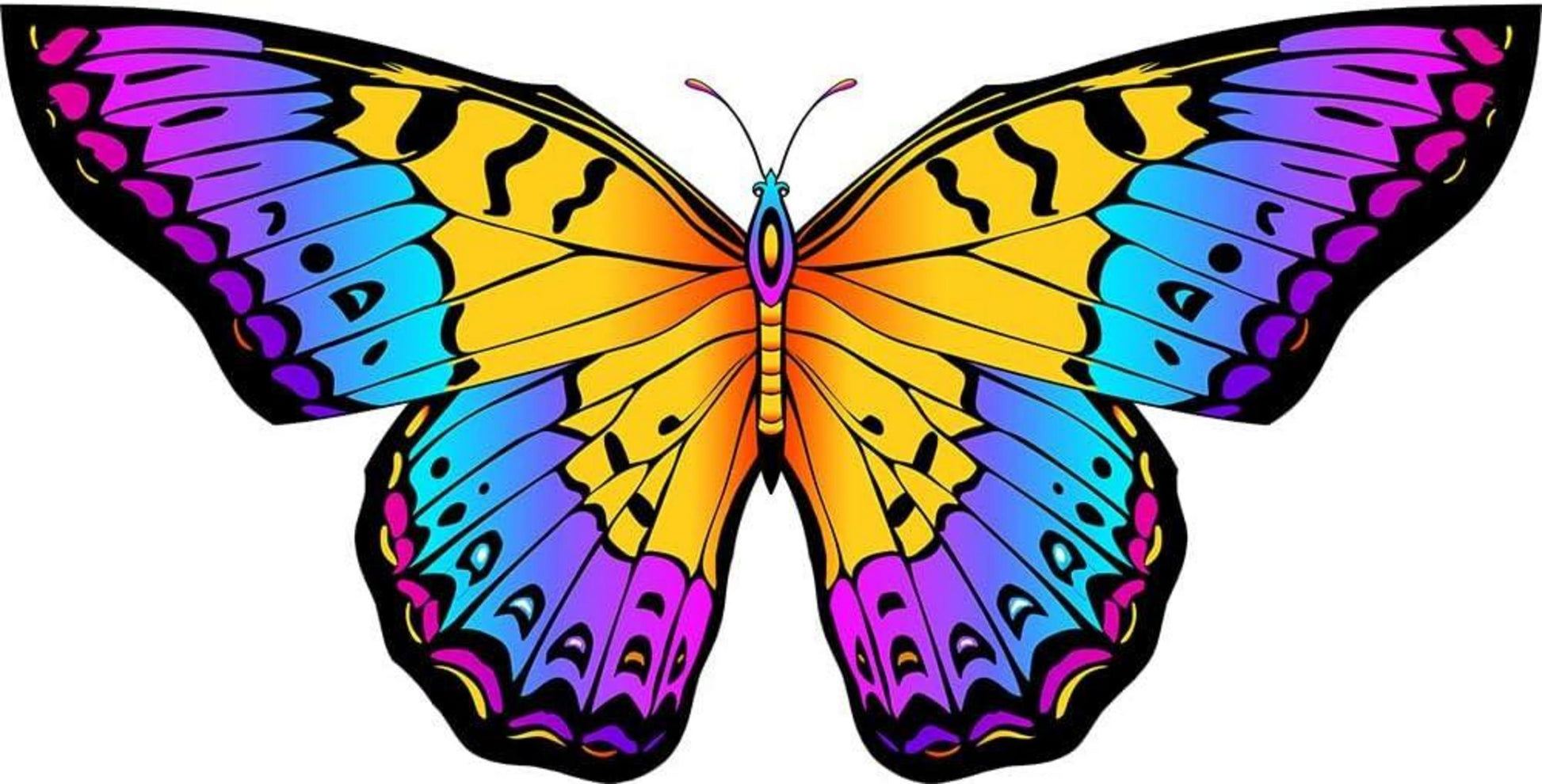 Schmetterling Drachen flugdrachen Kinder Erwachsene 120x95cm