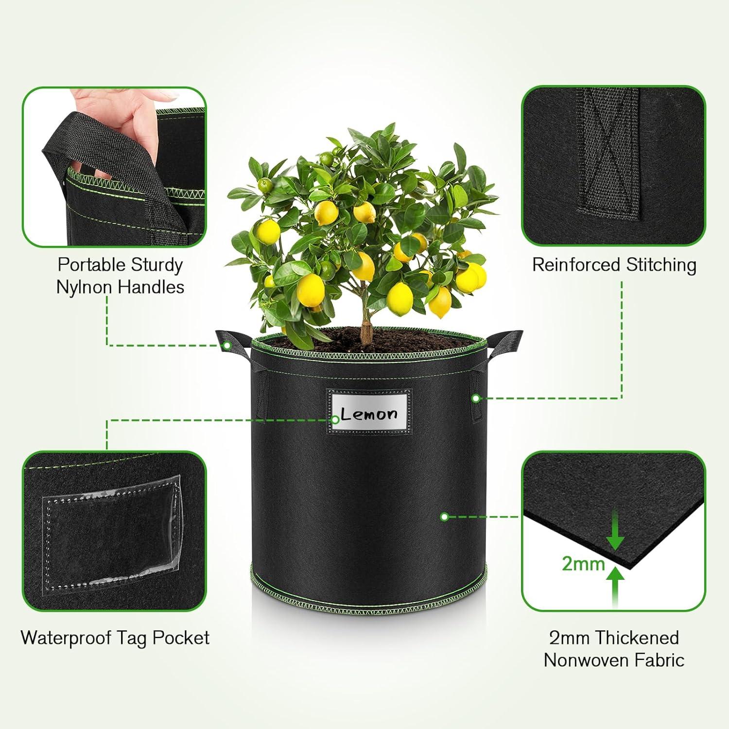 Pflanzsack 5er Set 40L Vliesstoff Tomaten Kartoffeln Erdbeeren Gemüse