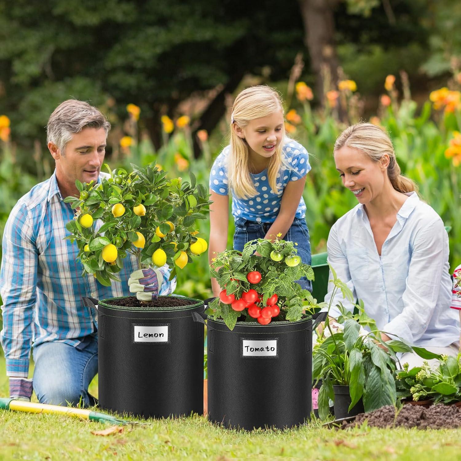 Pflanzsack 5er-Set 40L Vliesstoff für Tomaten Erdbeeren Gemüse