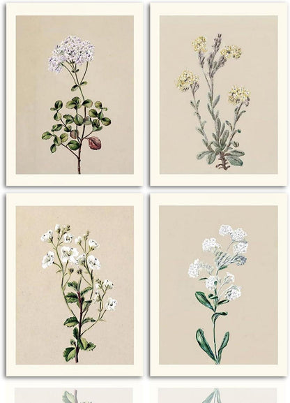 Botanische Vintage Wandbilder Set 4-teilig 30x40cm