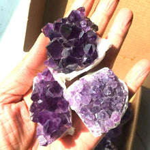 Natürlicher Amethyst-Cluster 1,8 Pfund Bergkristall