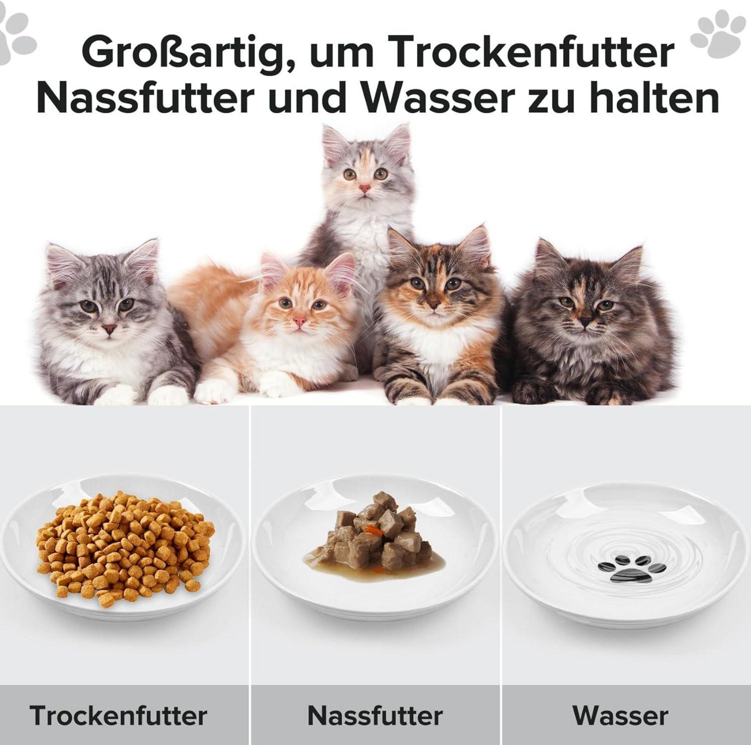Keramik Futternapf Katze Silikon Rutschfest Set 6 Stück