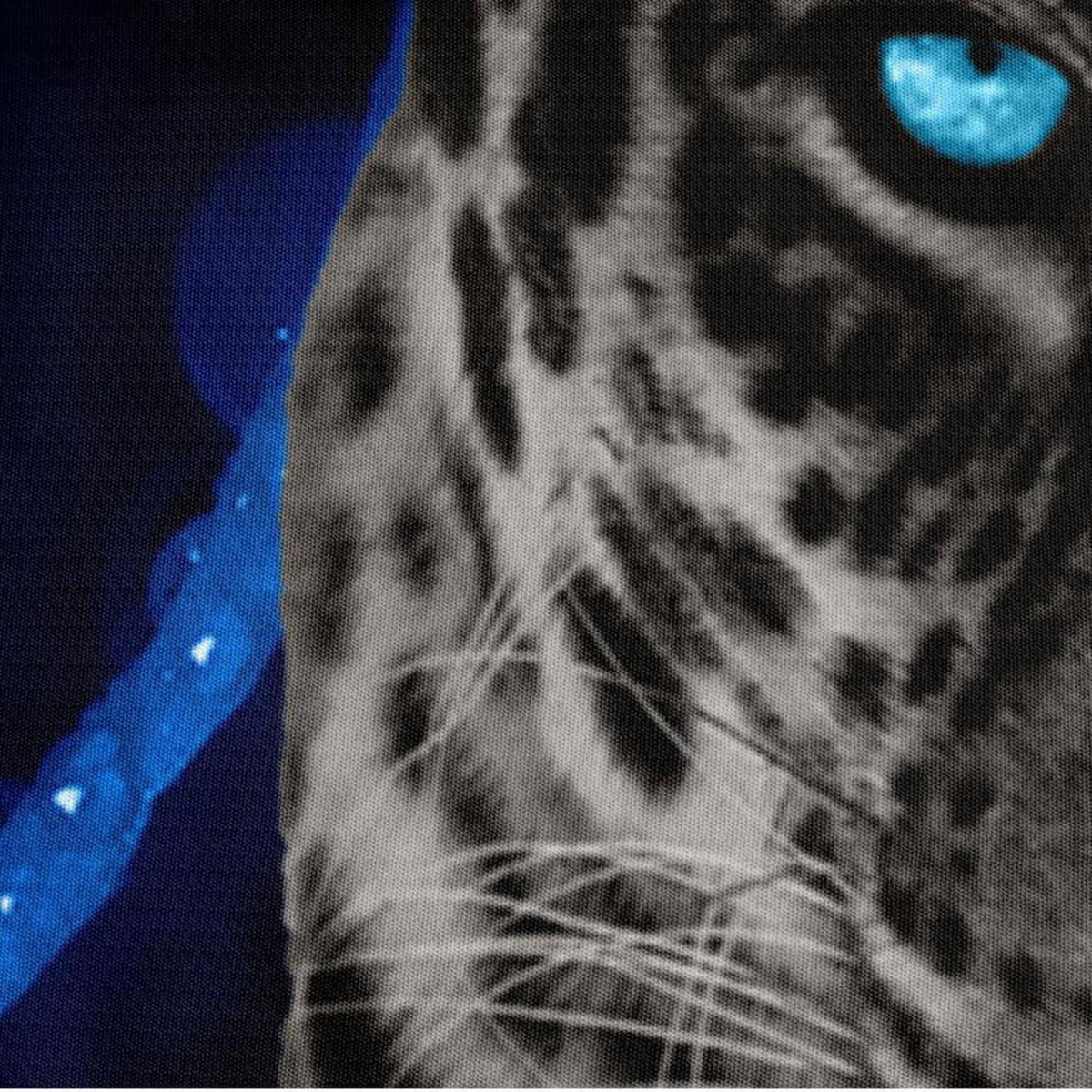 Leoparden Bettwäsche 135x200 - 4tlg. 3D Blau Mikrofaser Bettbezug