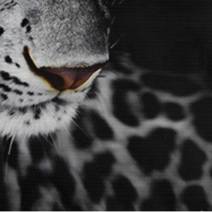 3D Leoparden Bettwäsche 135x200 - 4tlg. Set mit Kissenbezügen