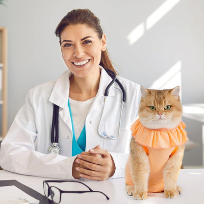 Katzenbody Erholungsanzug Kastration Spay Leckschutz Suit Bauchwunden