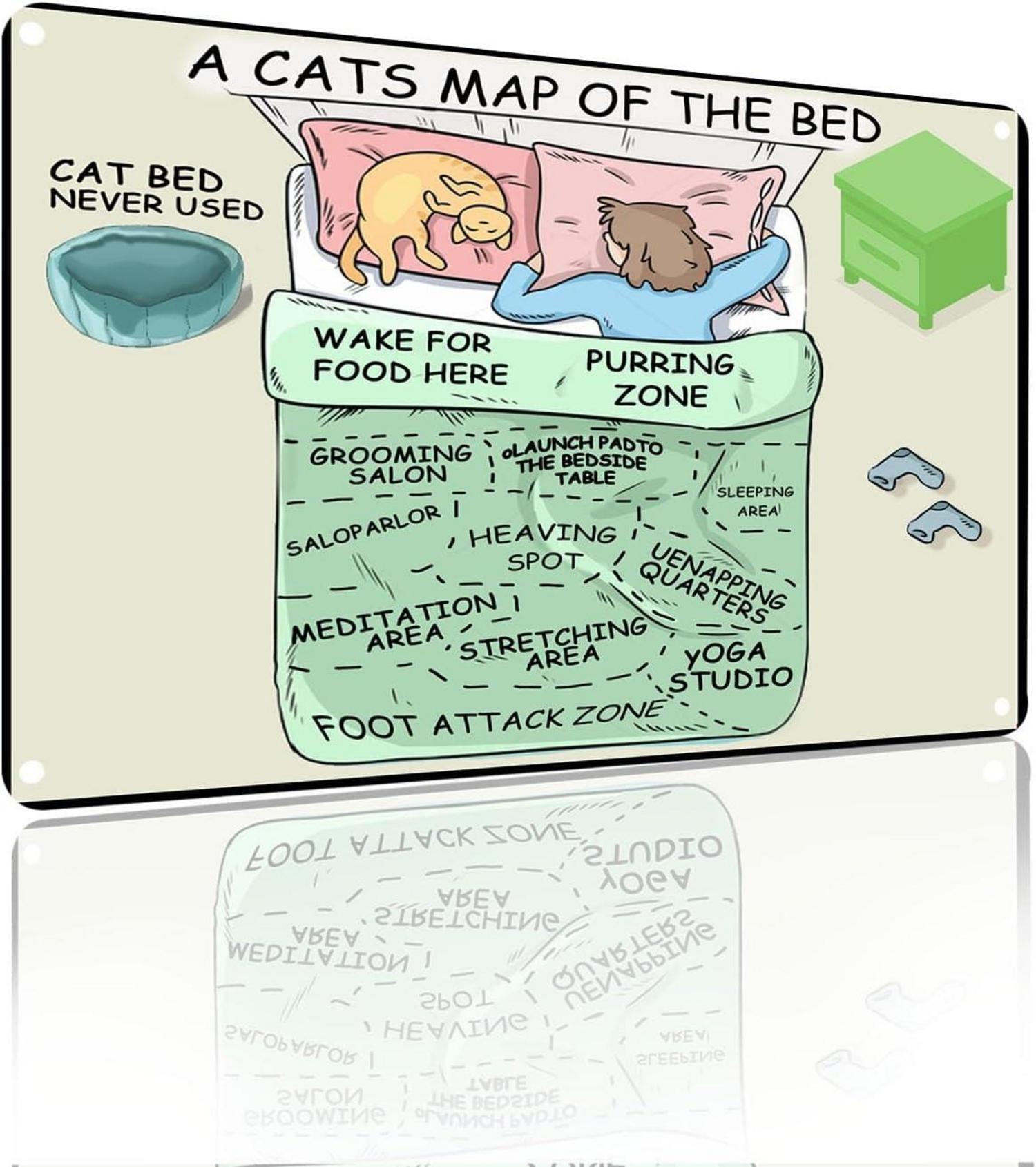 Yiruhe Katzenbett Karte Metall Deko 20x30 cm für Home Study