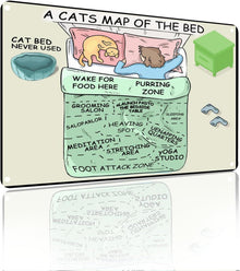 Yiruhe Katzenbett Karte Metall Deko 20x30 cm für Home Study