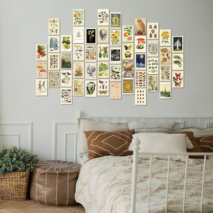 Wandcollage Set 50 Stück Vintage Ästhetische Botanische VSCO Poster