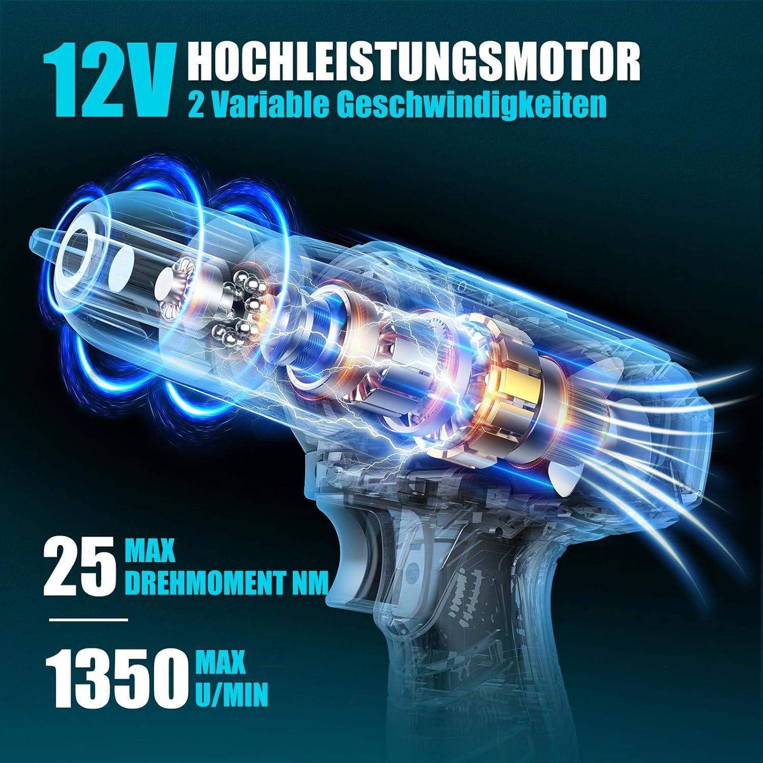 Werkzeugkoffer 206tlg Akkuschrauber Set 12V LED 25+1 Drehmomentstufen
