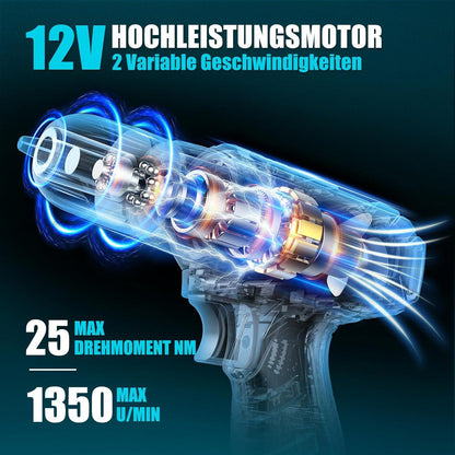 Werkzeugkoffer 206tlg Akkuschrauber Set 12V LED 25+1 Drehmomentstufen