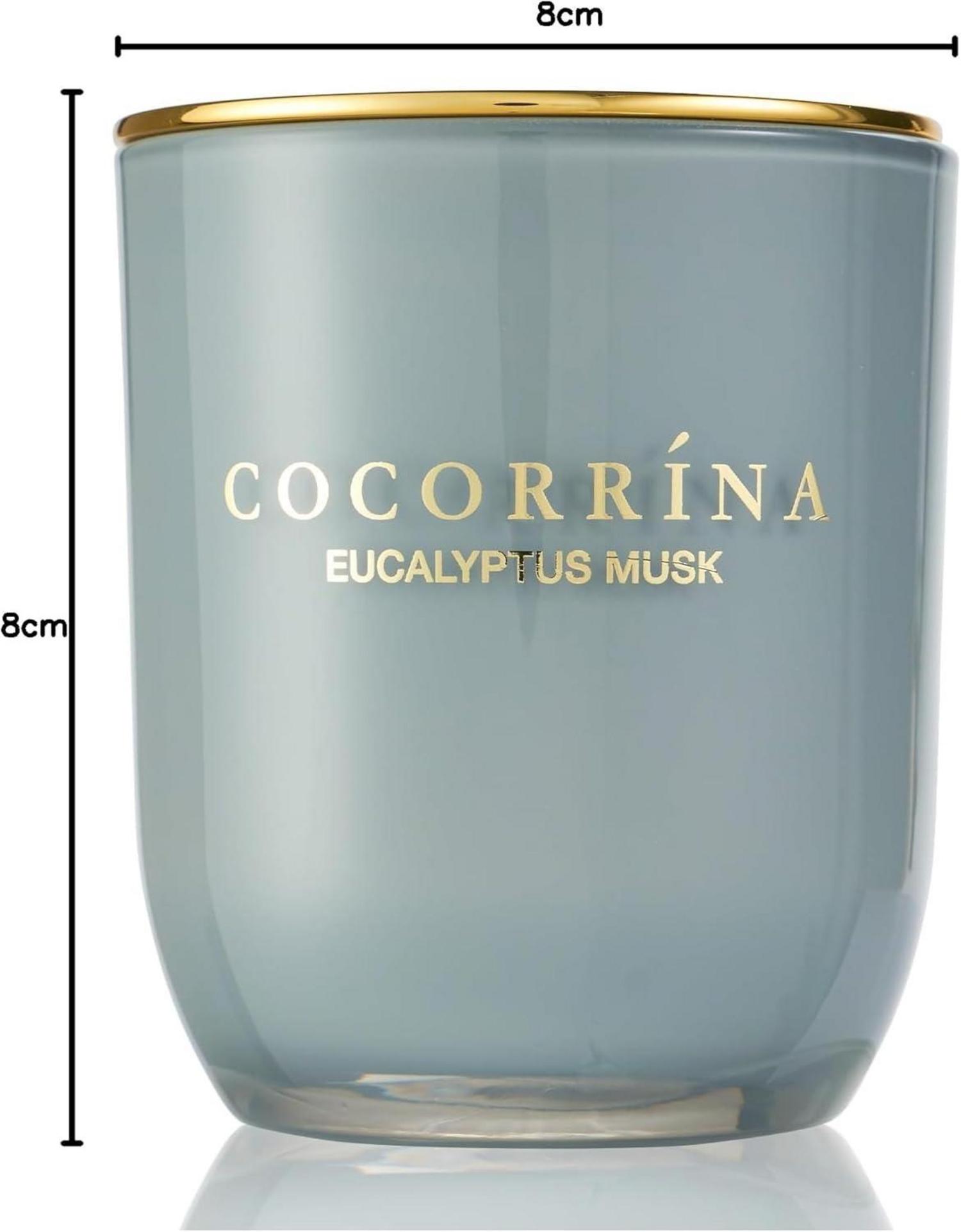 Duftkerze Eukalyptus Moschus 180g - Natürliches Sojawachs - Geschenkidee