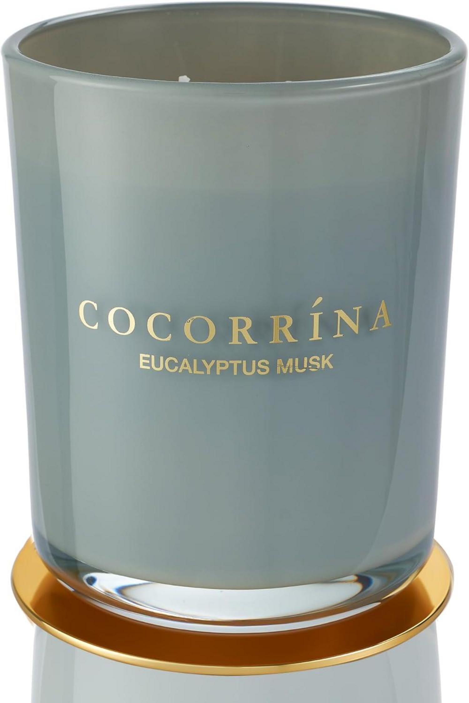 Duftkerze im Glas Eukalyptus Moschus 420g 46h Brenndauer 2 Dochte