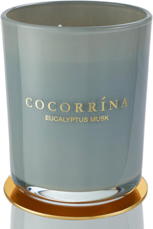 Duftkerze im Glas Eukalyptus Moschus 420g 46h Brenndauer 2 Dochte