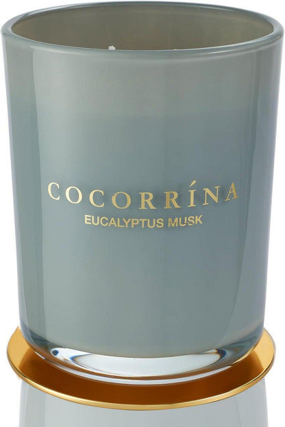 Duftkerze im Glas Eukalyptus Moschus 420g 46h Brenndauer 2 Dochte