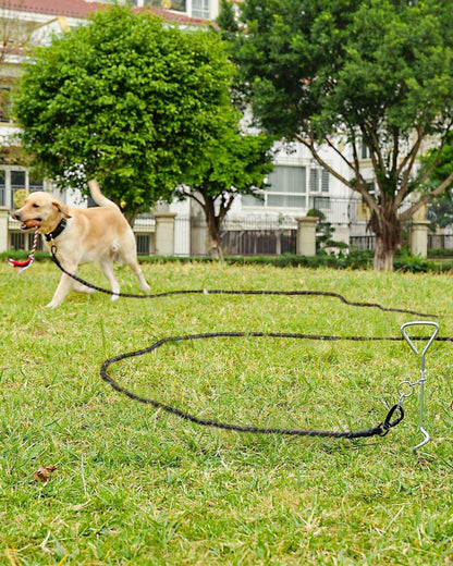Joytale Schleppleine für Große Mittlere Hunde 10m Schwarz