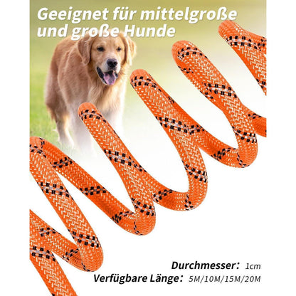 Joytale Schleppleine für Hunde, Reflektierend, Gepolsterter Griff, Orange 10m