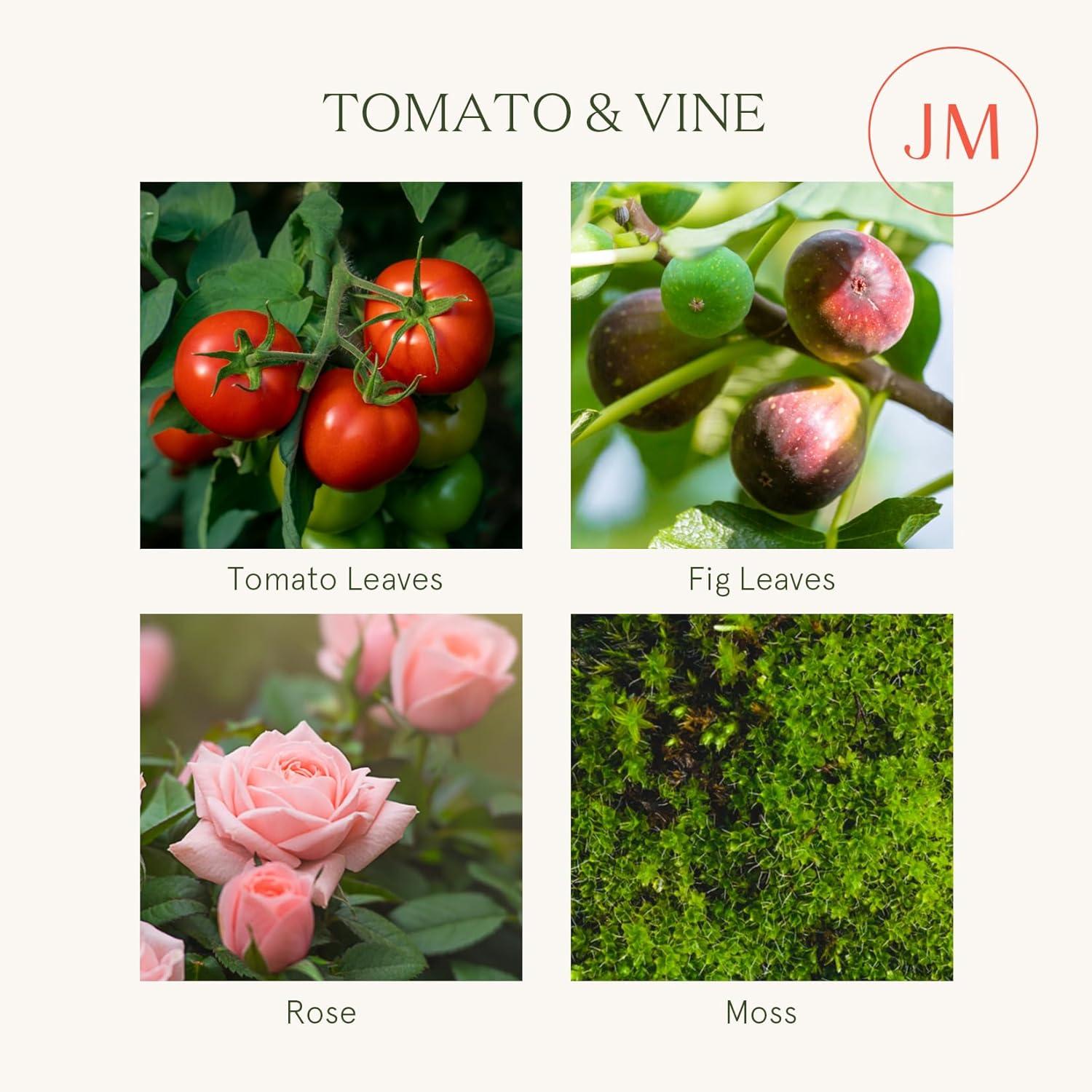 Tomato Vine-Kerze Weinaroma Duftkerze große 2-Docht-Soja Kerze 340 g