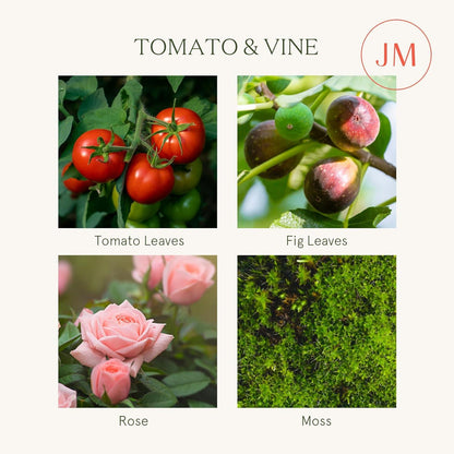 Tomato Vine-Kerze Weinaroma Duftkerze große 2-Docht-Soja Kerze 340 g