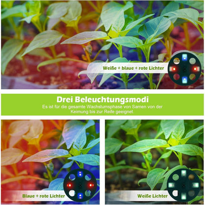 Anzucht Gewächshaus Pflanzkasten Wärmematte und Lampen 6stk