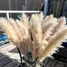 20 Stück Pampas Grass XXL Trockenblumen Deko groß 100cm