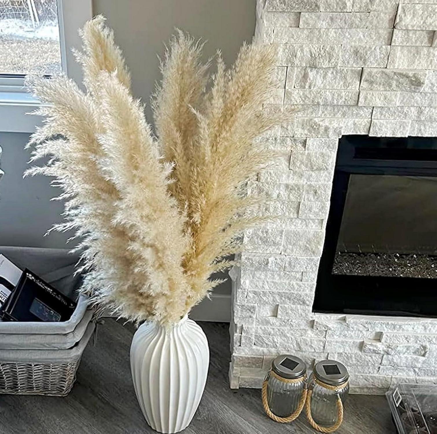 20er Set XL Pampas Grass Trockenblumen, 100cm - Boho DekoWohnzimmer, Tisch, Schlafzimmer
