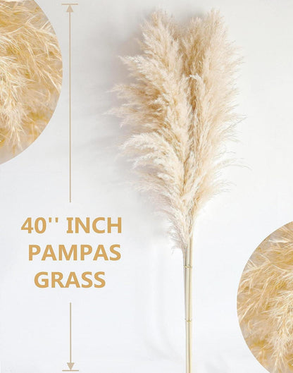 20er Set Pampas Grass Deko Groß XXL Trockenblumen Boho Hochzeit 100cm