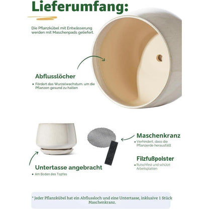 Keramiktopf 30cm mit Untersetzer – Pflanzgefäß für Zimmerpflanzen