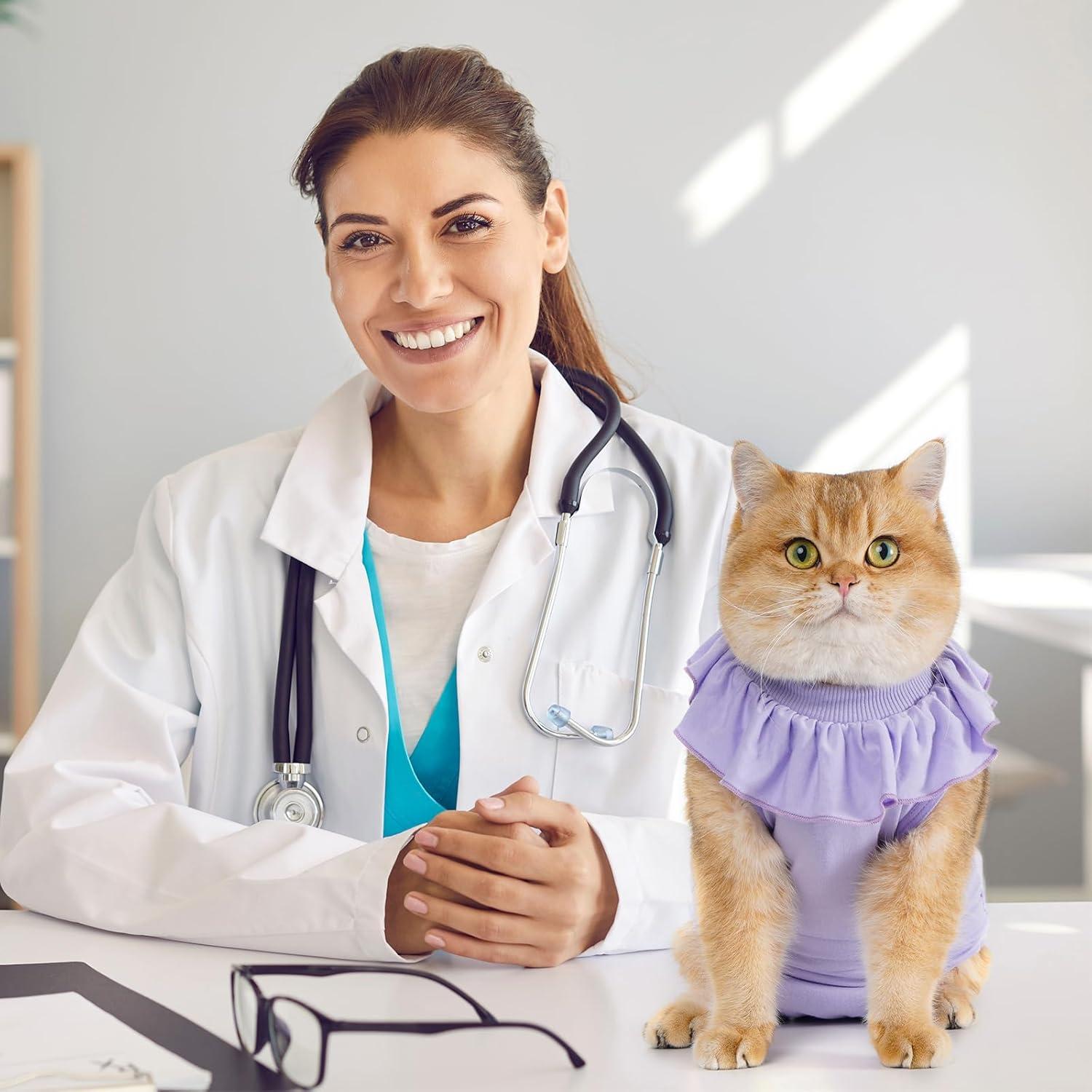 Katzenbody OP Erholungsanzug Bauchwunden Modal Recovery Suit