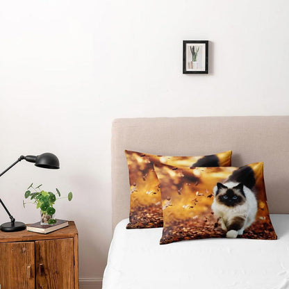 3D Katzen Bettwäsche Set 135x200cm, 4-teilig, Mikrofaser