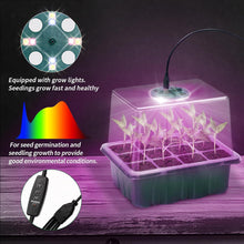 Zimmergewächshaus Anzuchtkasten Set mit LED Pflanzenlichtern