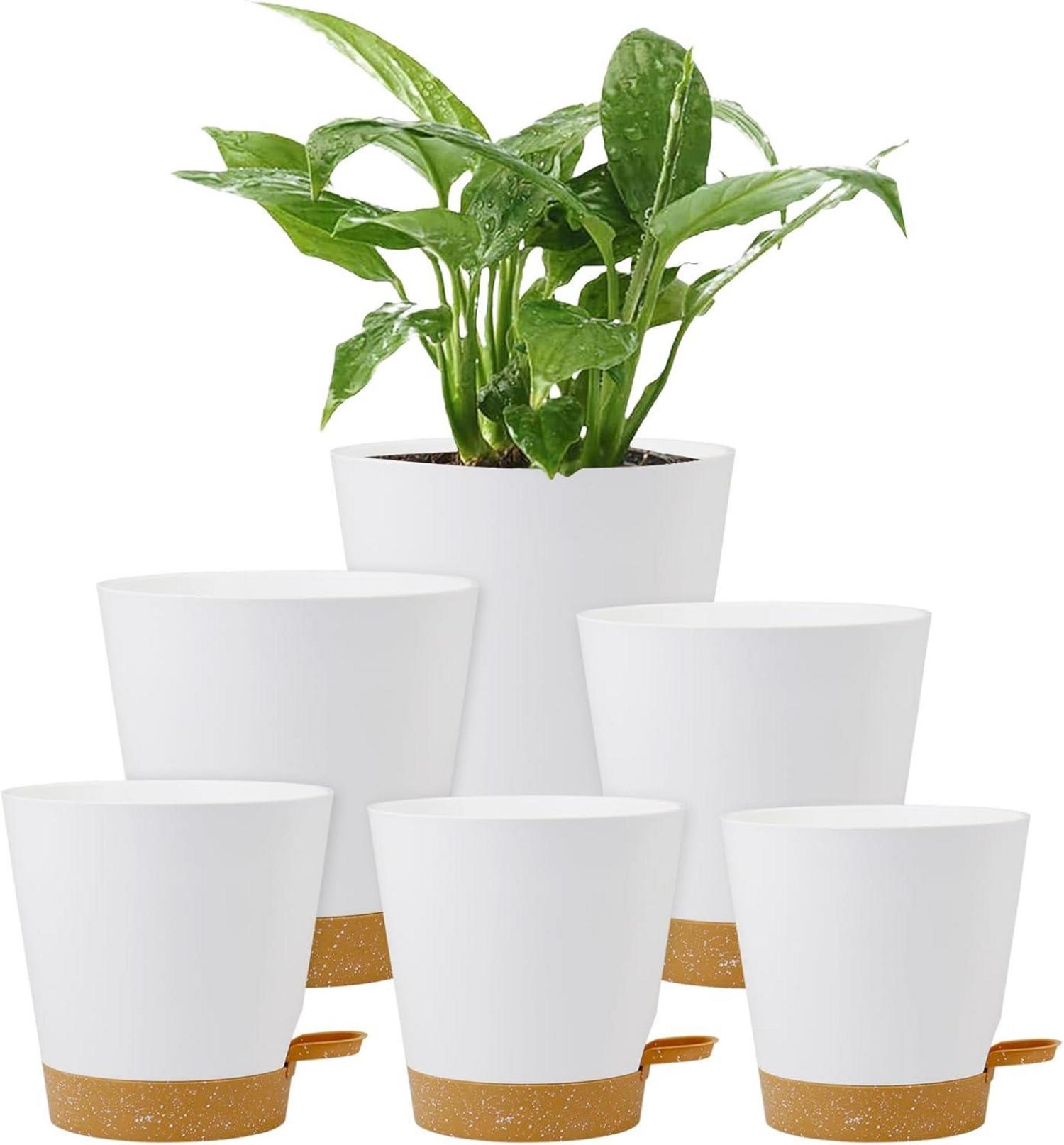 Selbstbewässernder Blumentopf Set für Innen- und Außenbereich
