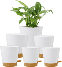 Selbstbewässernder Blumentopf Set für Innen- und Außenbereich