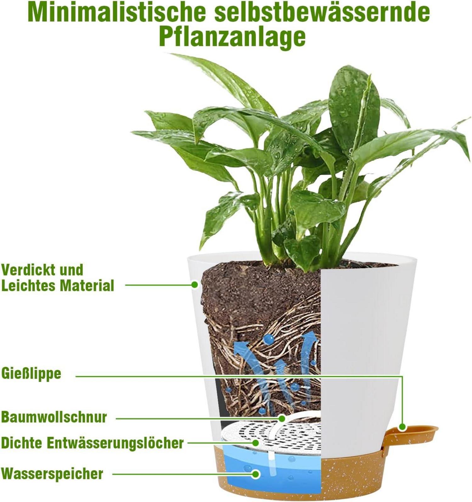 Selbstbewässernder Blumentopf Set für Innen- und Außenbereich