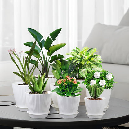 Blumentopf Set 8er mit