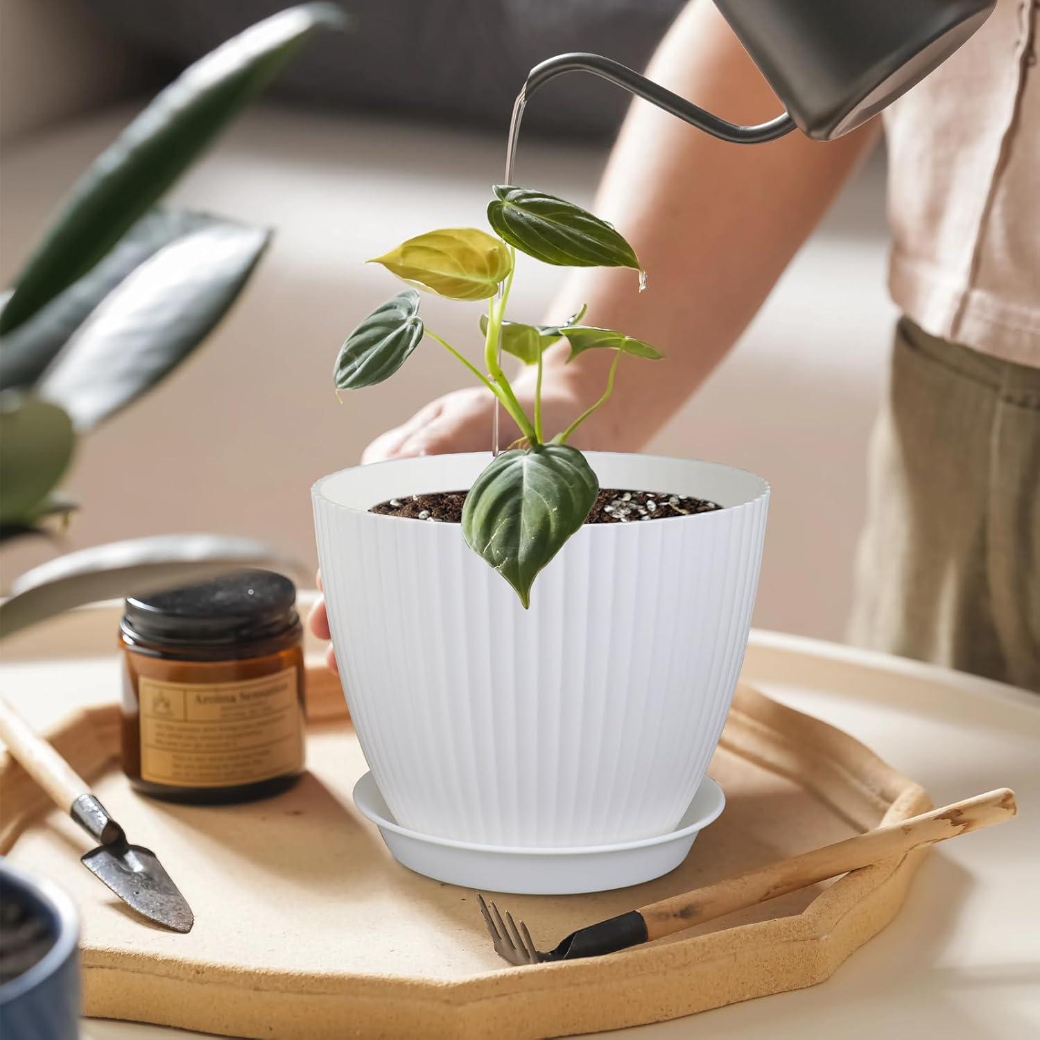 Blumentopf Set 8er Pack mit Untersetzer
