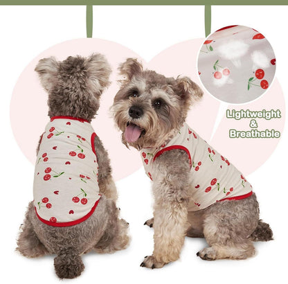 Hundepullover für Kleine Hunde, Weich Atmungsaktiv Chihuahua Shirt, Kirschen, M