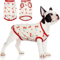 Hundepullover für kleine Hunde - Weiches Chihuahua Shirt mit