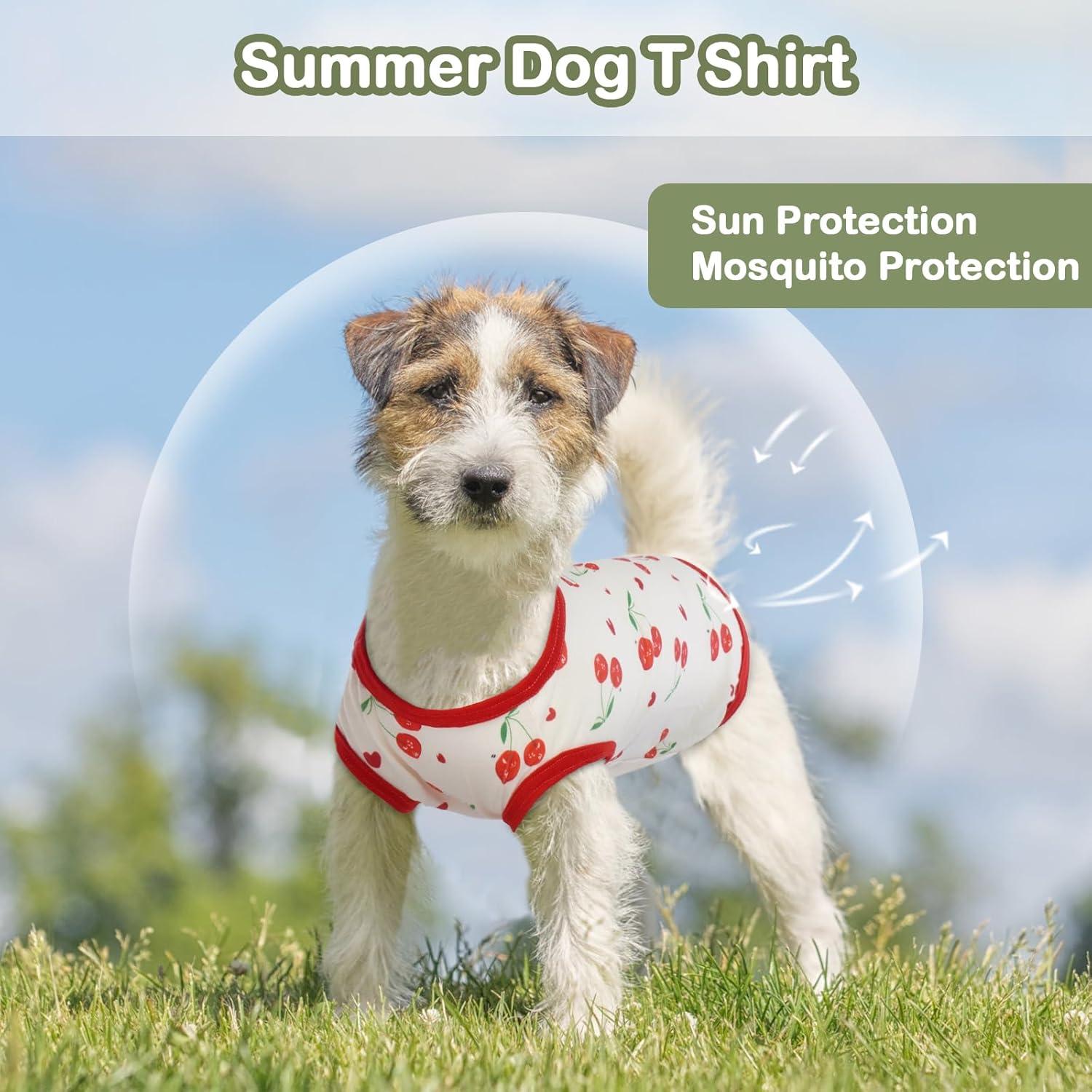 Hundepullover Chihuahua Yorkshir Terrier Kirschen S Hunde Shirt