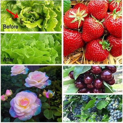 Gemüseschutznetz 3x6m Feinmaschig für Garten & Hochbeet