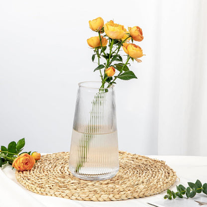 Transparente Glasvase Ins Style Rillen Dekovase Höhe 20cm
