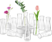 Kleine Glasvasen Set 12 Stück Klar Tischdeko Blumenvasen Modern