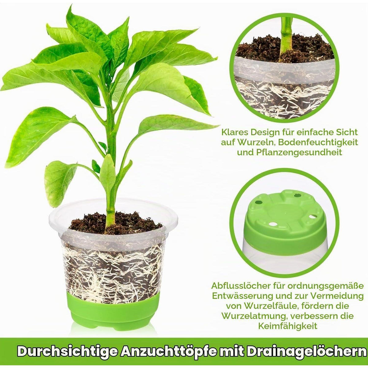 24 Anzuchttöpfe mit Silikonboden & Pflanzenetiketten