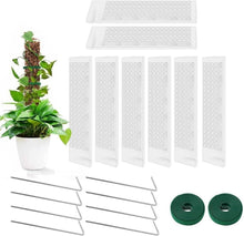8 Stück Transparente Moosstäbe für Kletterpflanzen 38cm - Rankhilfe