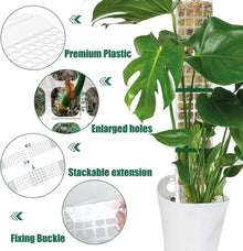 KAHEIGN 8-teiliges Moosstab Ranksystem für Zimmerpflanzen