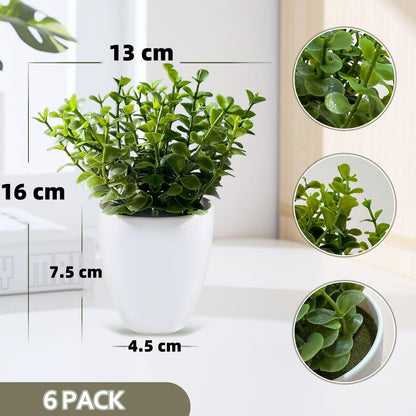 Künstliche Mini Eukalyptus Deko Pflanzen 6er Set - Innen Deko