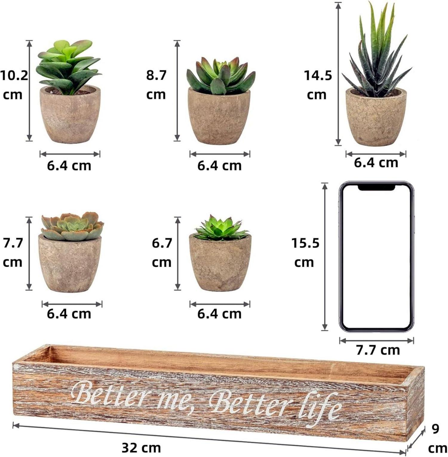 5er Set künstliche Sukkulenten mit Topf - Deko für Wohnzimmer, Badezimmer, Schlafzimmer, Küche & Büro