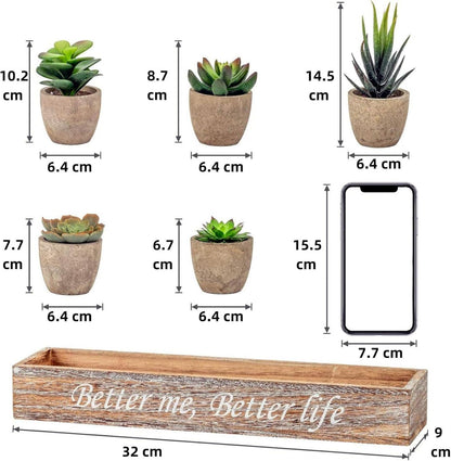 5er Set künstliche Sukkulenten mit Topf - Deko für Wohnzimmer, Badezimmer, Schlafzimmer, Küche & Büro